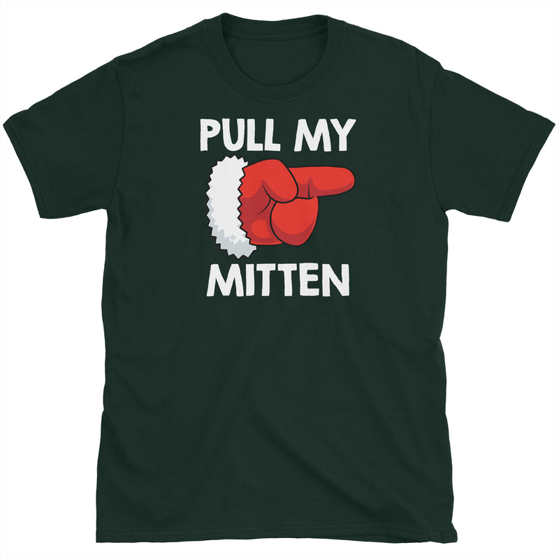 Pull My Mitten Christmas Fart T-Shirt